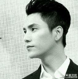 明星男图片,揭秘明星男肖像背后的故事